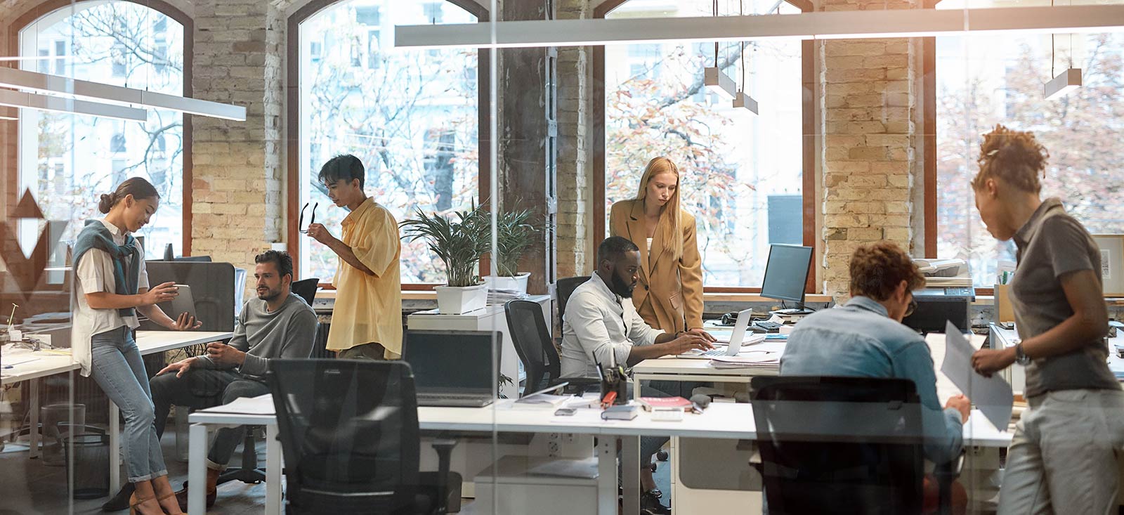 Expert business support consulting meeting with clients strategy and growth planning